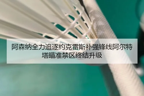 阿森纳全力追逐约克雷斯补强锋线阿尔特塔瞄准禁区终结升级